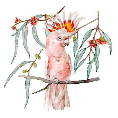 Pink Cockatoo II White Modern Wood Framed Art Print by Wang, Melissa