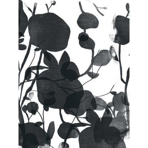Monoflora II Black Modern Wood Framed Art Print by Vess, June Erica