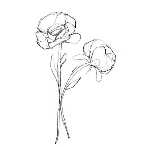 Stem Contour I Black Modern Wood Framed Art Print with Double Matting by Goldberger, Jennifer