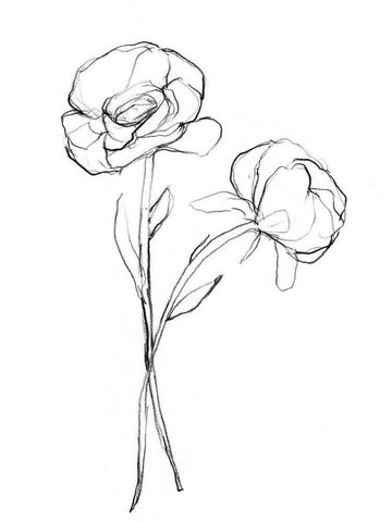 Stem Contour I Black Ornate Wood Framed Art Print with Double Matting by Goldberger, Jennifer