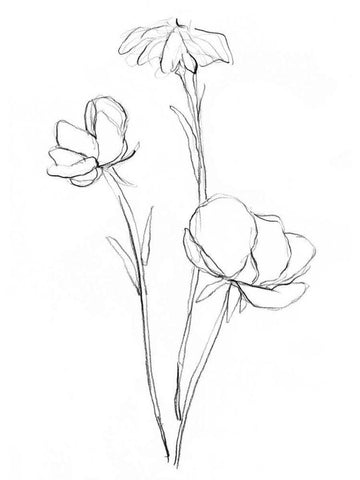 Stem Contour II White Modern Wood Framed Art Print with Double Matting by Goldberger, Jennifer