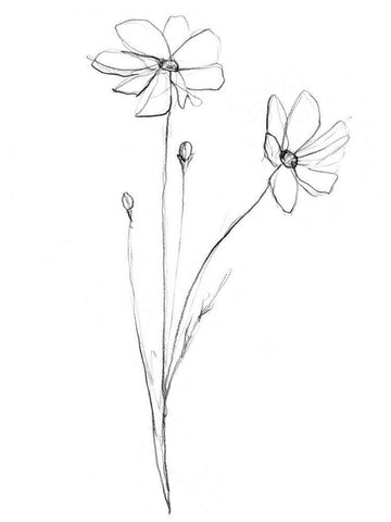 Stem Contour III Black Ornate Wood Framed Art Print with Double Matting by Goldberger, Jennifer