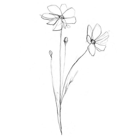 Stem Contour III Black Modern Wood Framed Art Print by Goldberger, Jennifer