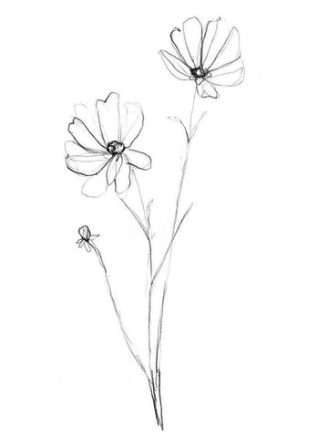 Stem Contour IV Black Ornate Wood Framed Art Print with Double Matting by Goldberger, Jennifer