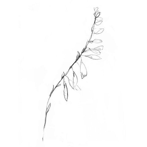 Stem Contour V White Modern Wood Framed Art Print by Goldberger, Jennifer