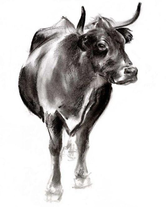 Image Only