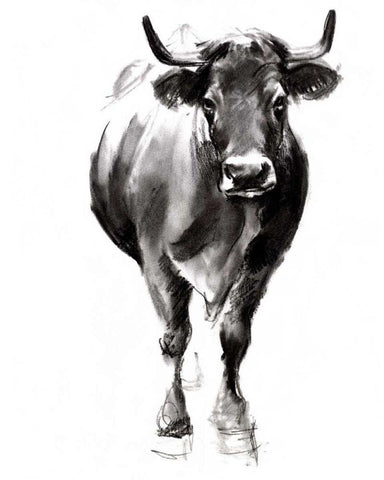 Charcoal Cattle II White Modern Wood Framed Art Print with Double Matting by Parker, Jennifer Paxton