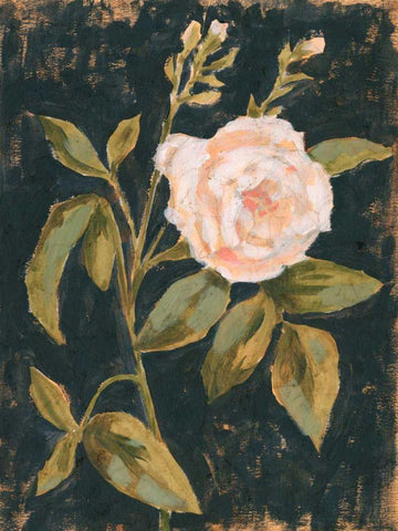 Moody Blooms I White Modern Wood Framed Art Print with Double Matting by Borges, Victoria