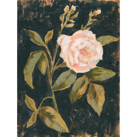 Moody Blooms I Black Modern Wood Framed Art Print by Borges, Victoria