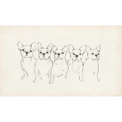 Snuggle Squad I Black Modern Wood Framed Art Print by Harper, Ethan