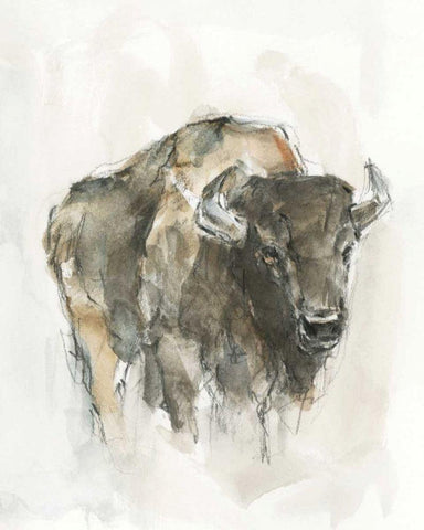 American Buffalo I White Modern Wood Framed Art Print with Double Matting by Harper, Ethan