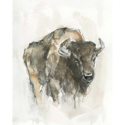 American Buffalo I Black Modern Wood Framed Art Print by Harper, Ethan