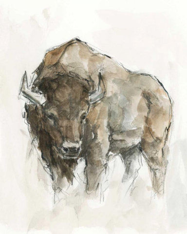 American Buffalo II Black Ornate Wood Framed Art Print with Double Matting by Harper, Ethan