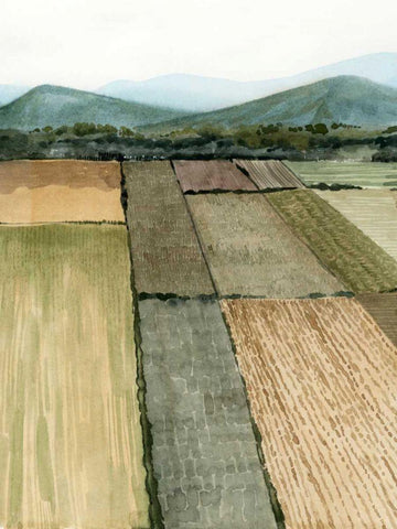 This Land I Black Ornate Wood Framed Art Print with Double Matting by Popp, Grace