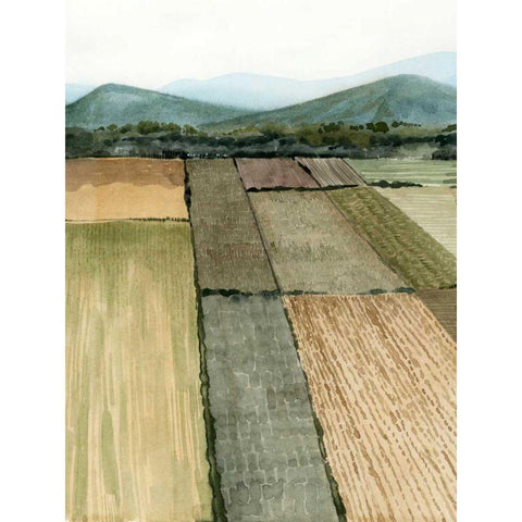 This Land I Black Modern Wood Framed Art Print with Double Matting by Popp, Grace