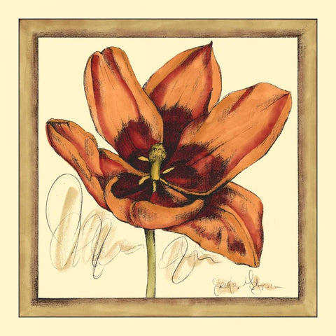 Tulip Study I White Modern Wood Framed Art Print by Goldberger, Jennifer