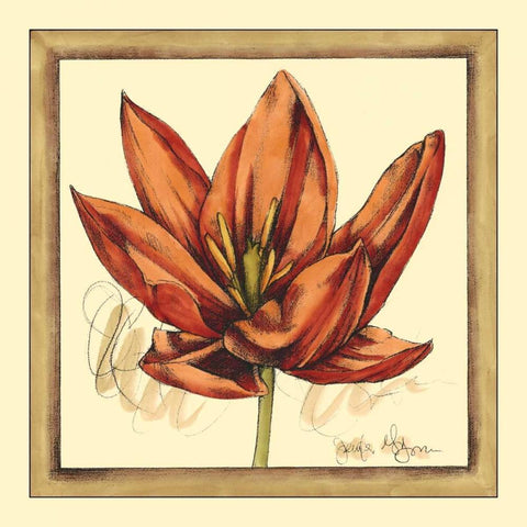 Tulip Study II Black Modern Wood Framed Art Print by Goldberger, Jennifer