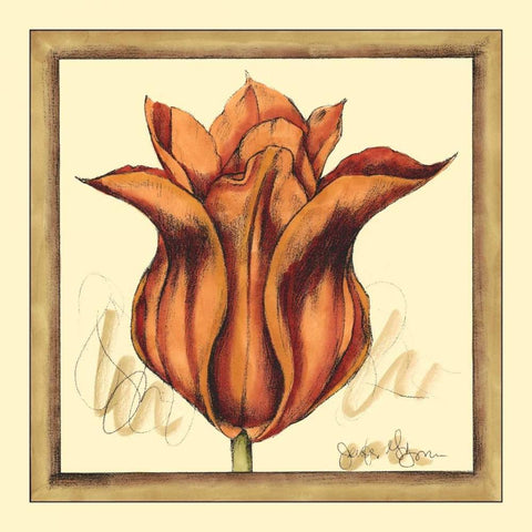 Tulip Study VI White Modern Wood Framed Art Print with Double Matting by Goldberger, Jennifer