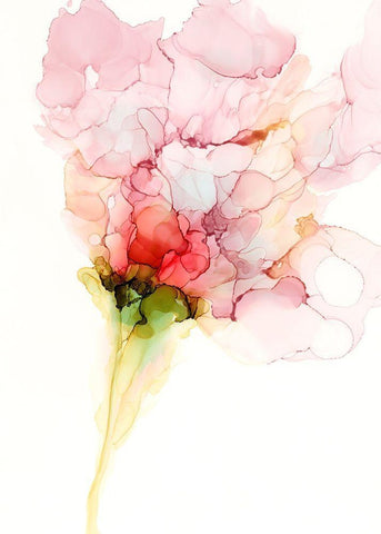 Flower Passion I White Modern Wood Framed Art Print with Double Matting by Goldberger, Jennifer