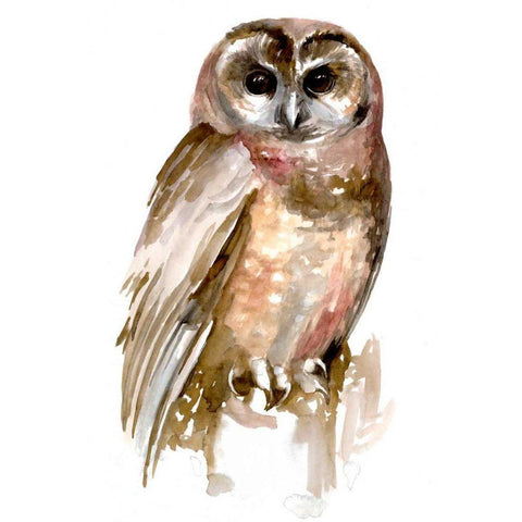 Watercolor Owl II White Modern Wood Framed Art Print by Parker, Jennifer Paxton