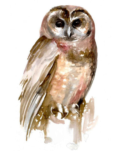 Watercolor Owl II White Modern Wood Framed Art Print with Double Matting by Parker, Jennifer Paxton