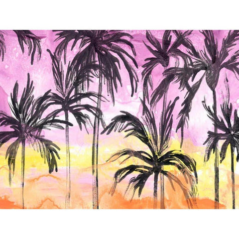 Island Sunset I Black Modern Wood Framed Art Print with Double Matting by Vess, June Erica