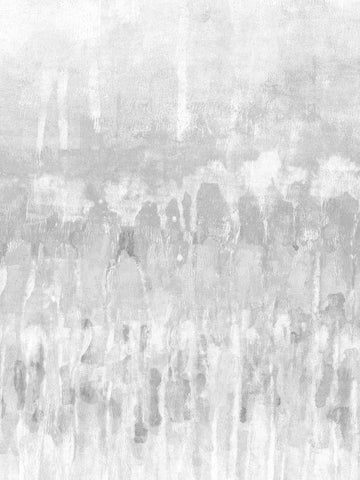 White Coast II Black Ornate Wood Framed Art Print with Double Matting by Goldberger, Jennifer