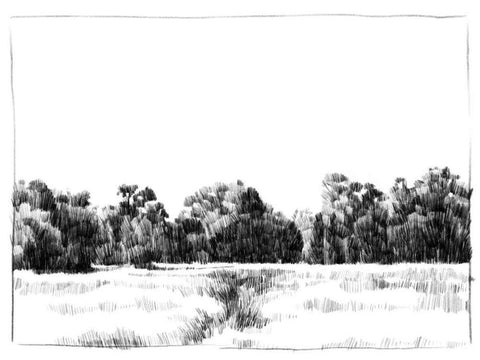Northern Neck Landscape I White Modern Wood Framed Art Print with Double Matting by Caroline, Emma