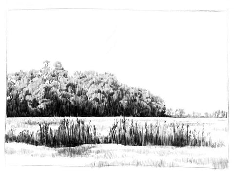 Northern Neck Landscape II Black Ornate Wood Framed Art Print with Double Matting by Caroline, Emma