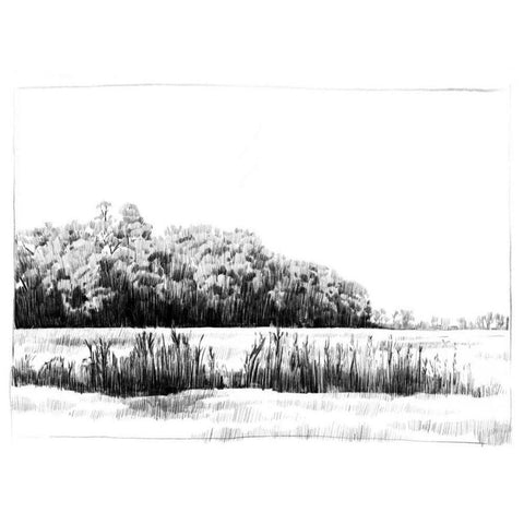 Northern Neck Landscape II Black Modern Wood Framed Art Print by Caroline, Emma