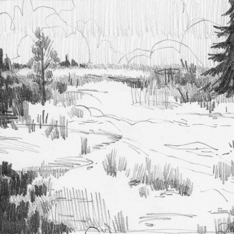 Wildland Sketch I White Modern Wood Framed Art Print with Double Matting by Green, Jacob