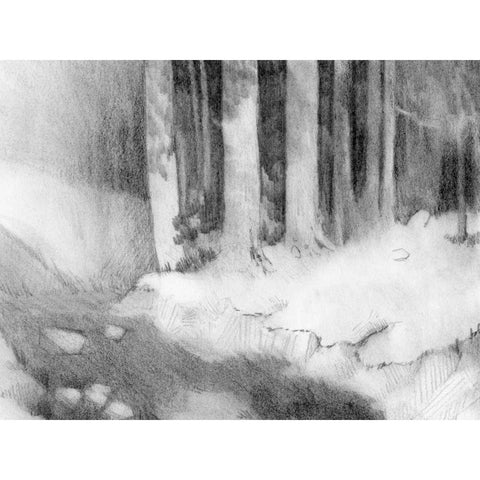 Graphite Glade I Black Modern Wood Framed Art Print by Green, Jacob