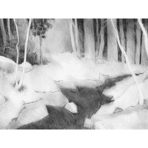 Graphite Glade II Black Modern Wood Framed Art Print with Double Matting by Green, Jacob