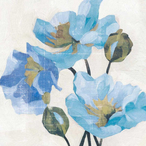 Azure Peony II White Modern Wood Framed Art Print with Double Matting by Caroline, Emma