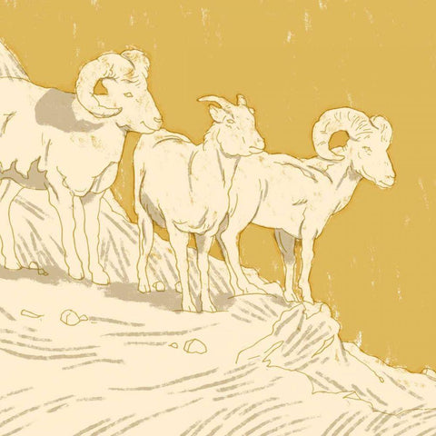 Big Horn I Black Ornate Wood Framed Art Print with Double Matting by Green, Jacob