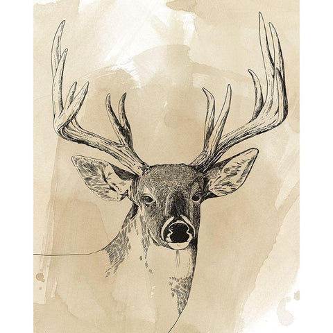 Burnished Buck I Gold Ornate Wood Framed Art Print with Double Matting by Popp, Grace