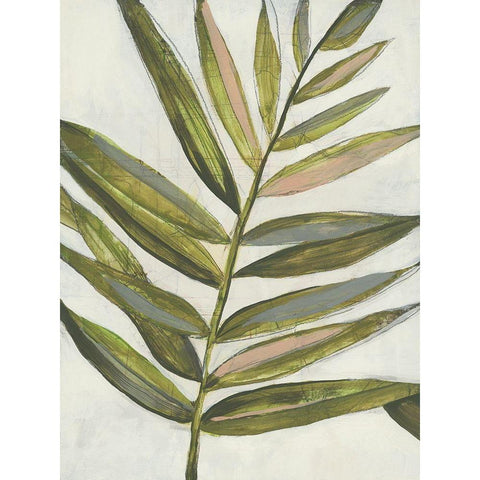 Pastel Frond I White Modern Wood Framed Art Print by Goldberger, Jennifer
