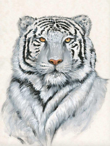 White Tiger I White Modern Wood Framed Art Print with Double Matting by OToole, Tim