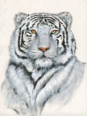 White Tiger I Black Ornate Wood Framed Art Print with Double Matting by OToole, Tim