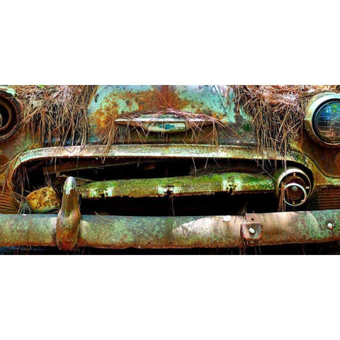 Car Graveyard V Gold Ornate Wood Framed Art Print with Double Matting by McLoughlin, James