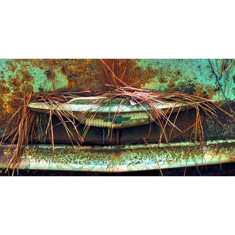 Car Graveyard VI Black Modern Wood Framed Art Print with Double Matting by McLoughlin, James