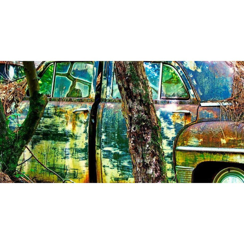 Car Graveyard VIII Black Modern Wood Framed Art Print with Double Matting by McLoughlin, James