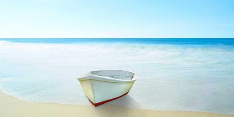 Boat on a Beach III Black Ornate Wood Framed Art Print with Double Matting by McLoughlin, James