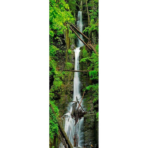 Vertical Falls II Gold Ornate Wood Framed Art Print with Double Matting by McLoughlin, James