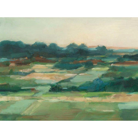 Vast Fields I Gold Ornate Wood Framed Art Print with Double Matting by Harper, Ethan