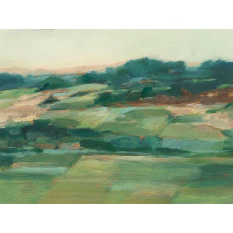 Vast Fields II Black Modern Wood Framed Art Print by Harper, Ethan