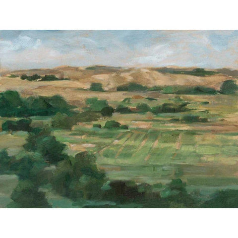 Valley Fields I Black Modern Wood Framed Art Print by Harper, Ethan