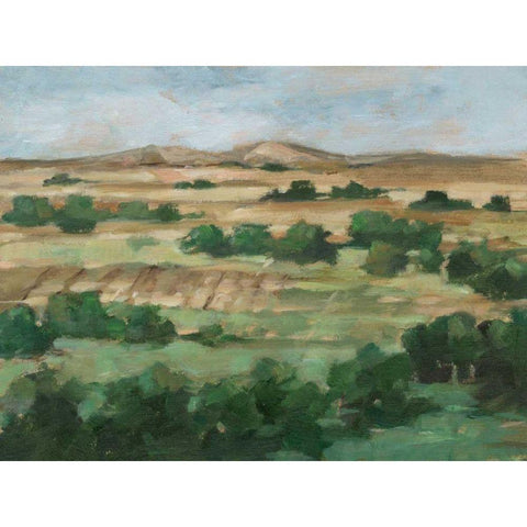 Valley Fields II Gold Ornate Wood Framed Art Print with Double Matting by Harper, Ethan