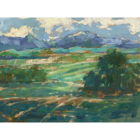 Rolling Farmland II Black Modern Wood Framed Art Print with Double Matting by Harper, Ethan