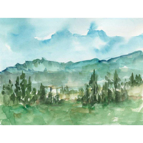 Stand of Evergreens I White Modern Wood Framed Art Print by Harper, Ethan